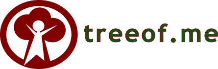 Logo - Digital Memory Preservation